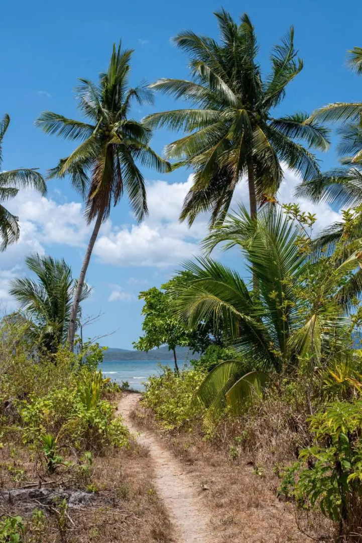 Atremaru Jungle Retreat