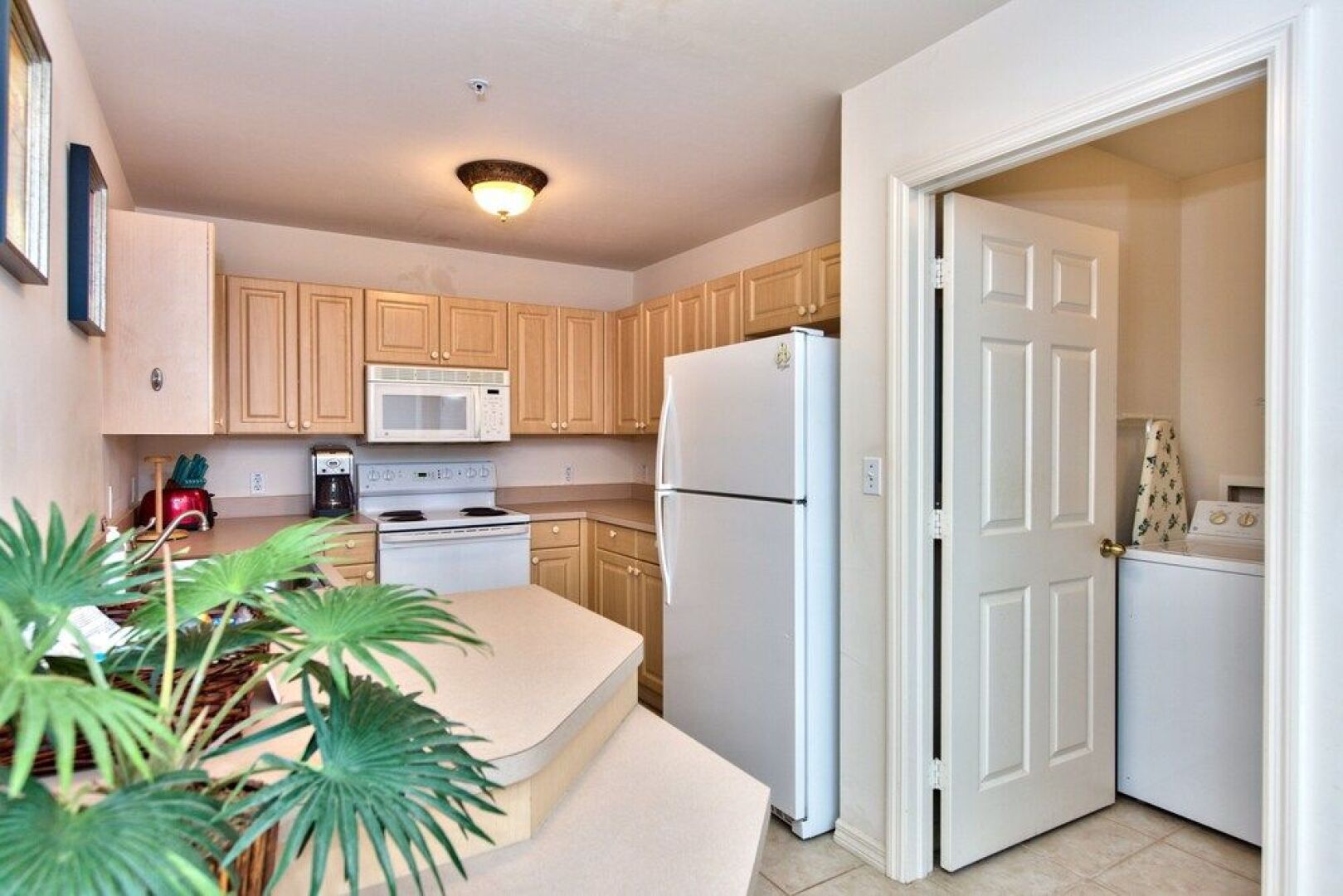 Viareggio Vacation Rental