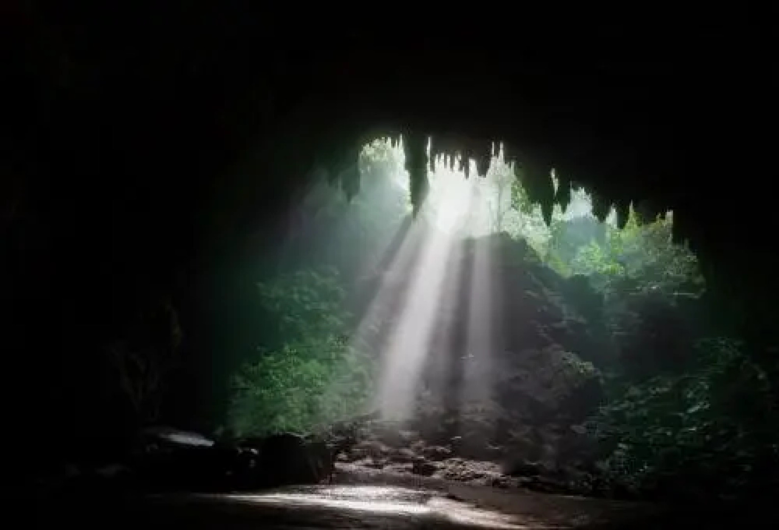 Coastal Express Inn Hotel