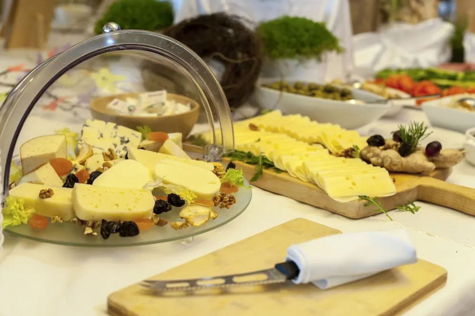 Hotel Zeleni Gaj - Sava Hotels & Resorts