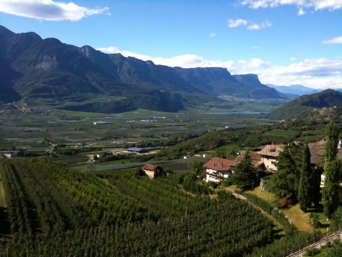 Appartement im Grünweinhof