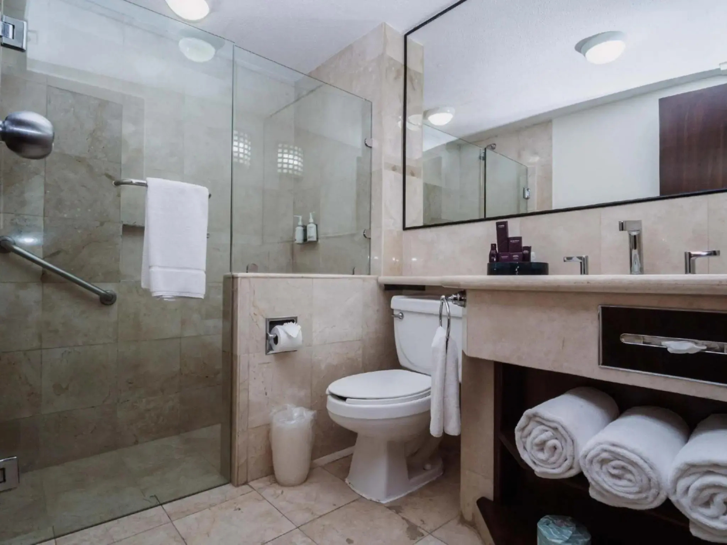 HS HOTSSON Hotel Tampico