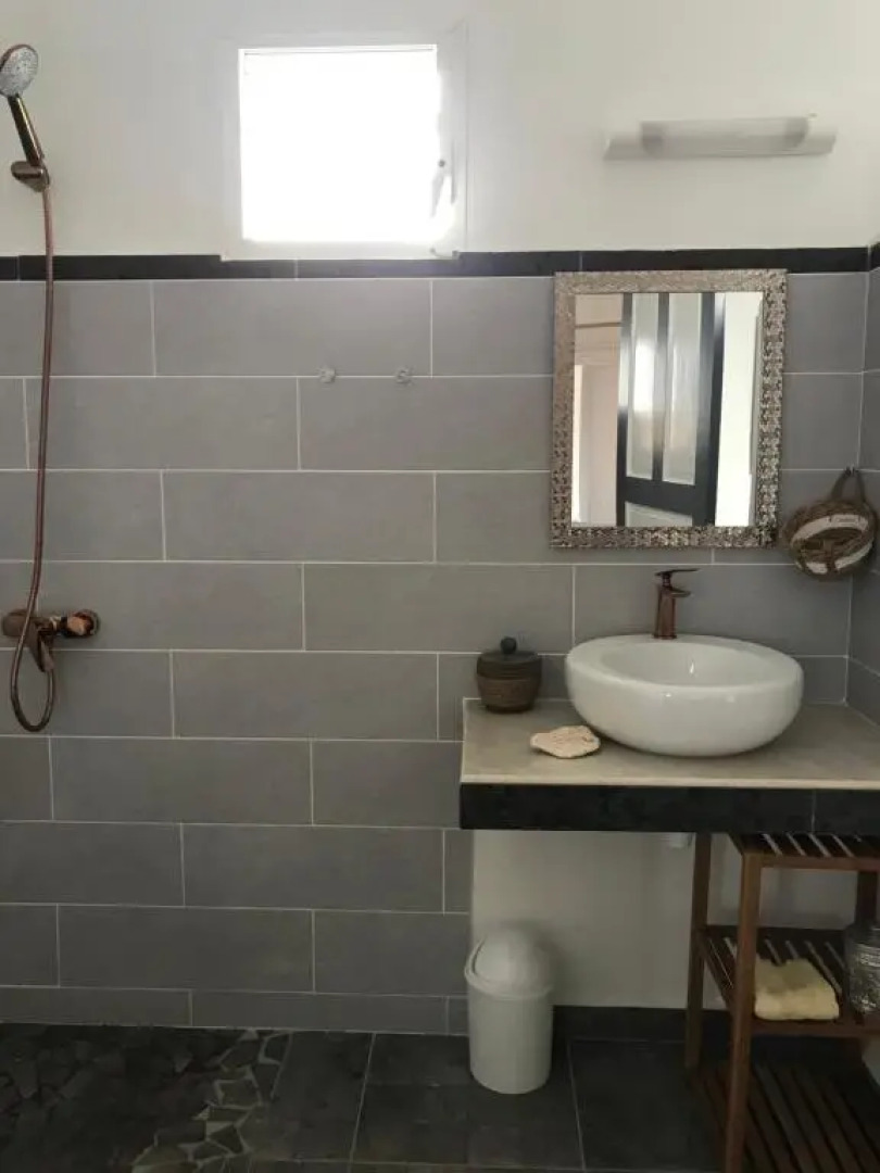 LES ALOÈS By CREYOL ANIMAL