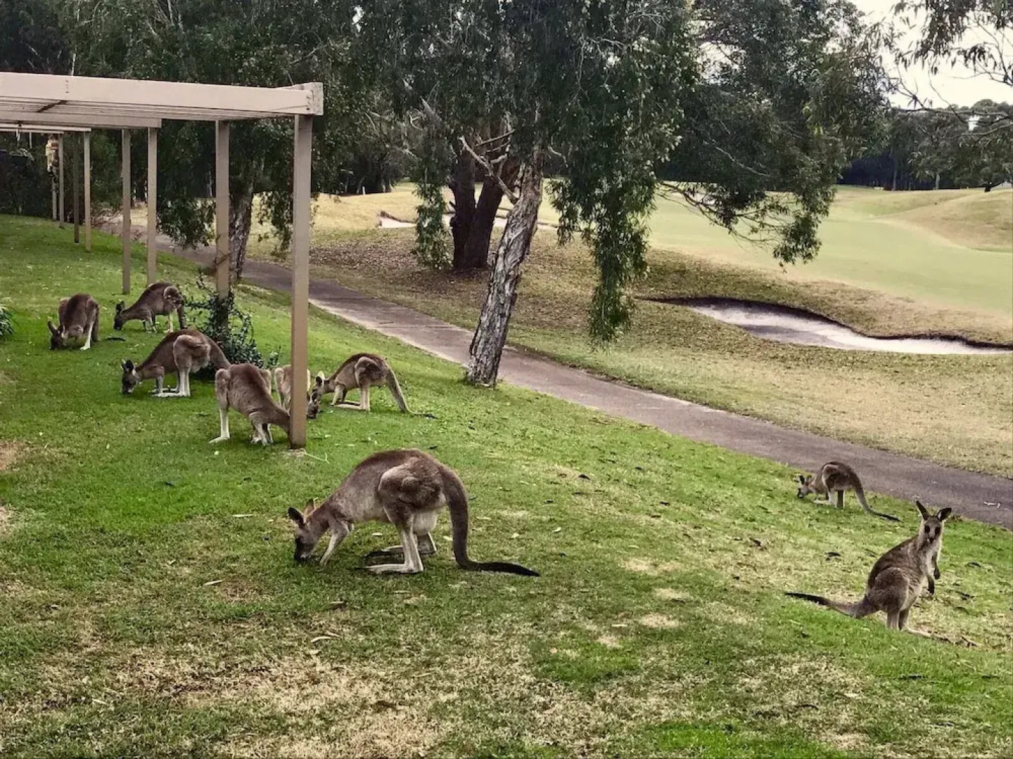 Condo 108 @ Horizons Resort & Golf, stunning course + lake Views