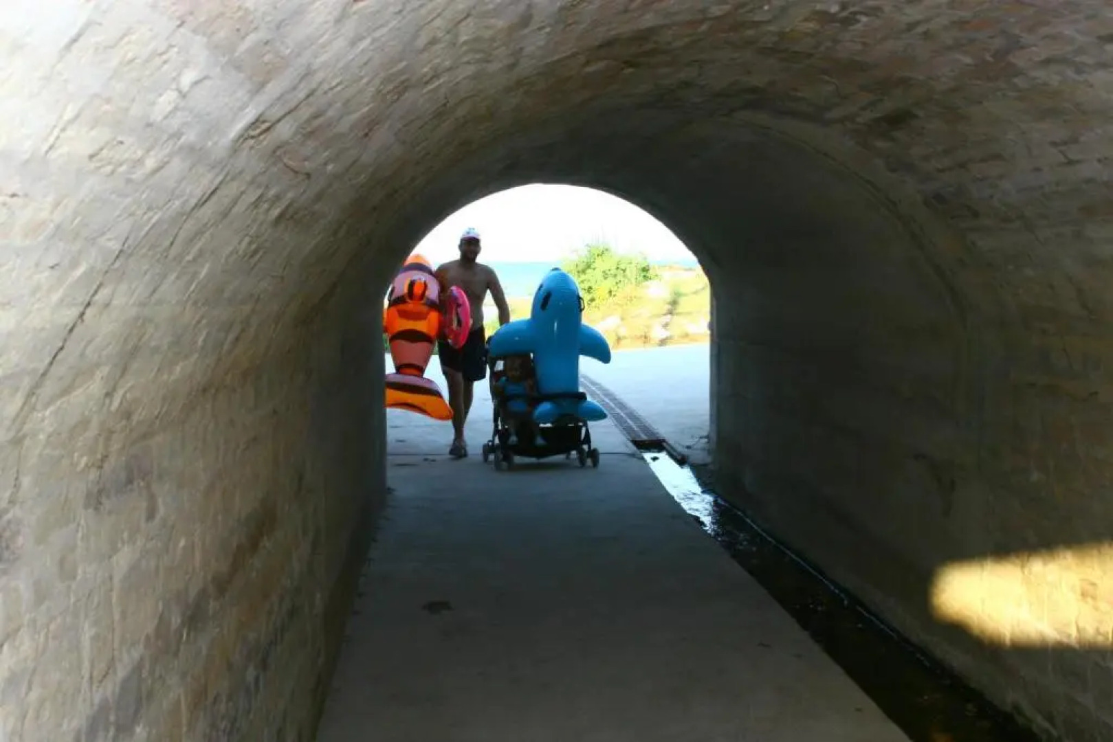 Bio Agriturismo Mare in Campagna