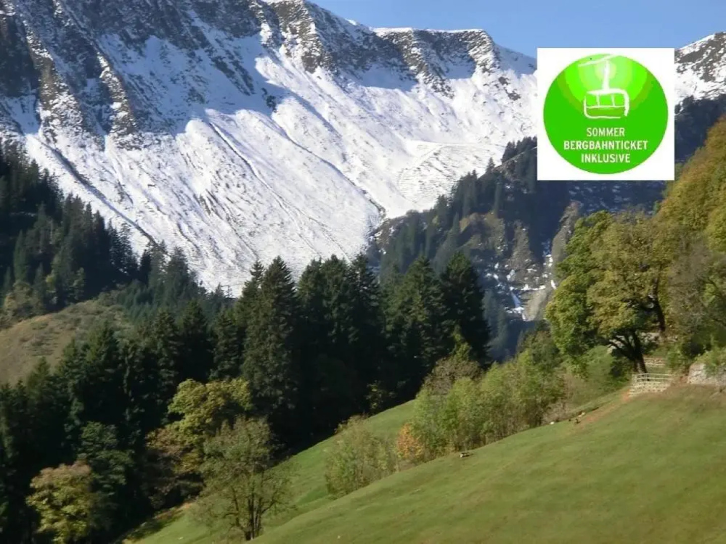 Appartement Bergahorn