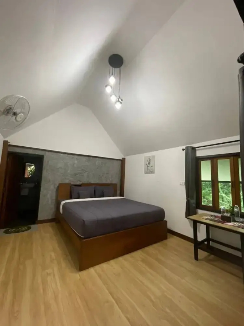 Jungle guest house