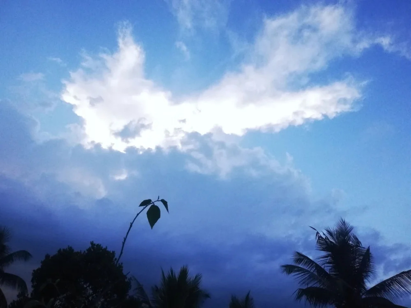 Hotel Elephant Lobby