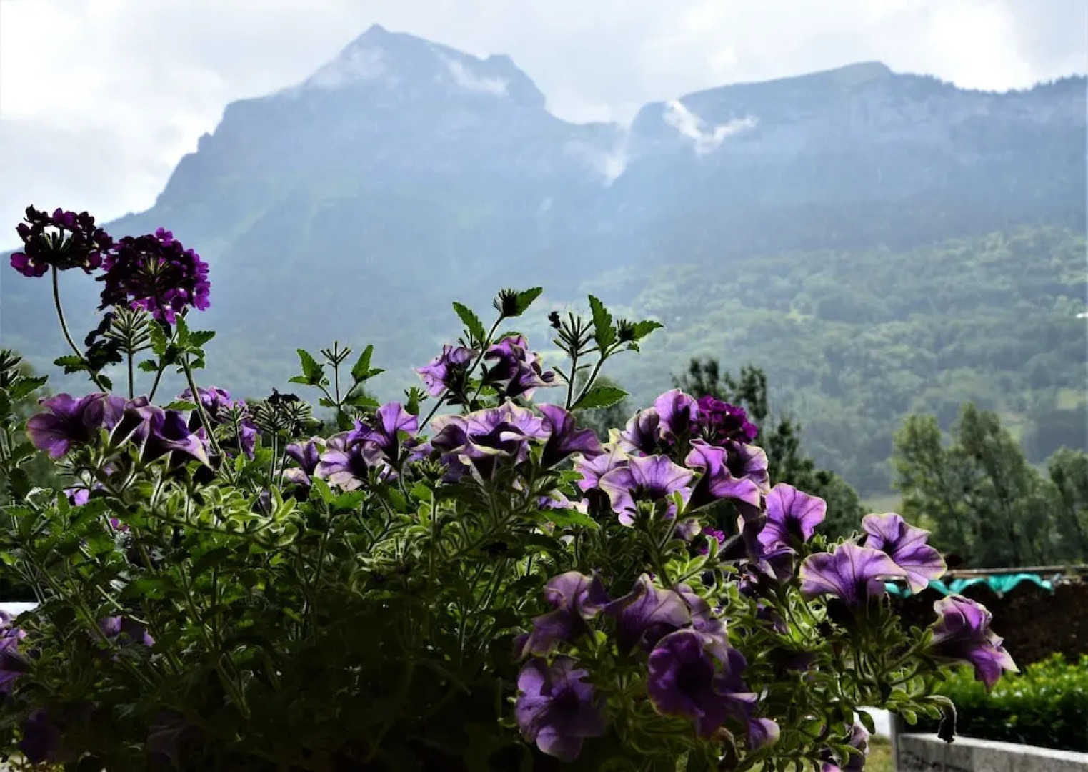 Logis Hôtel le Relais du Mont Blanc