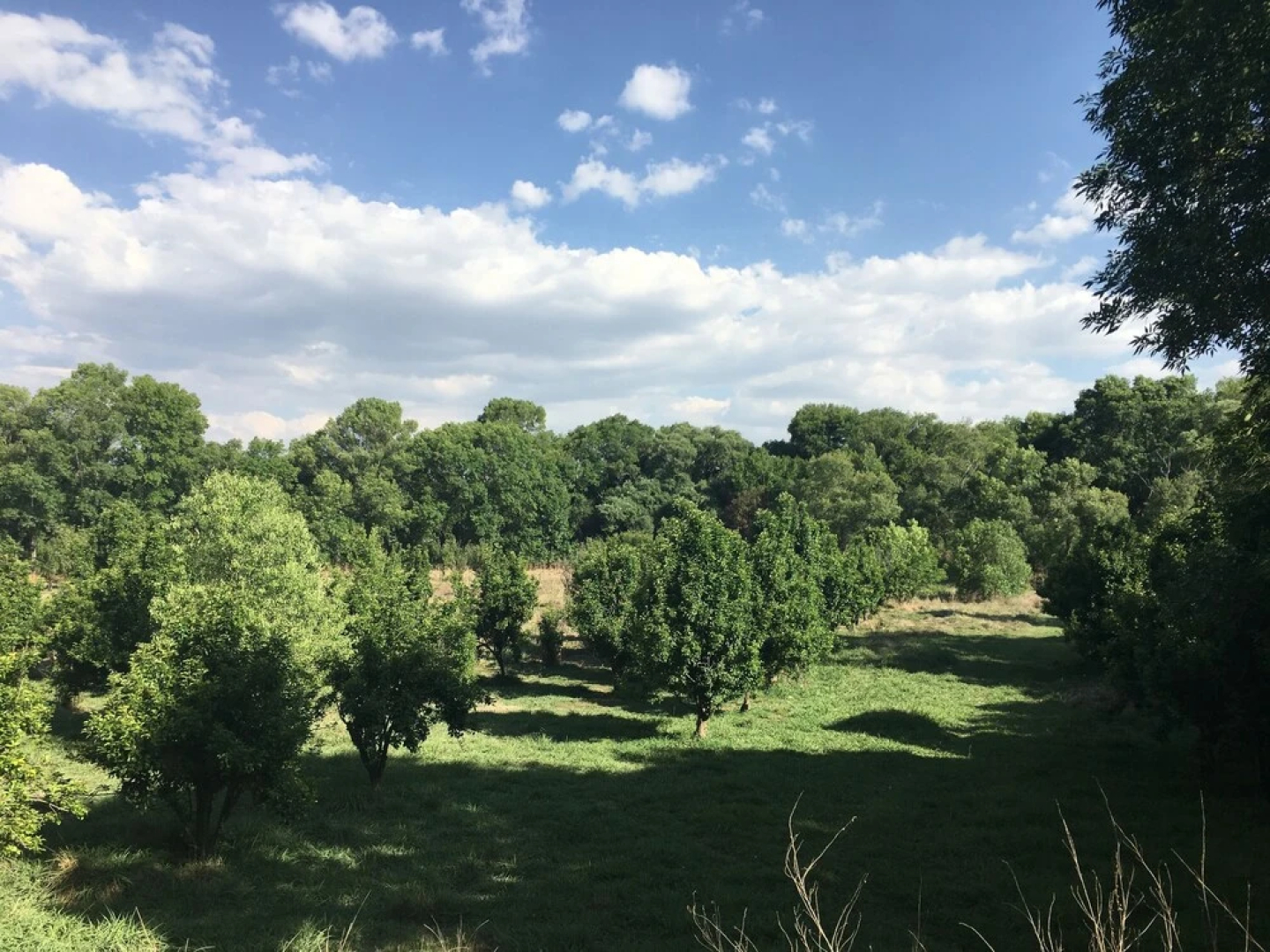 Rancho Las Joyas Tepeji del Rio