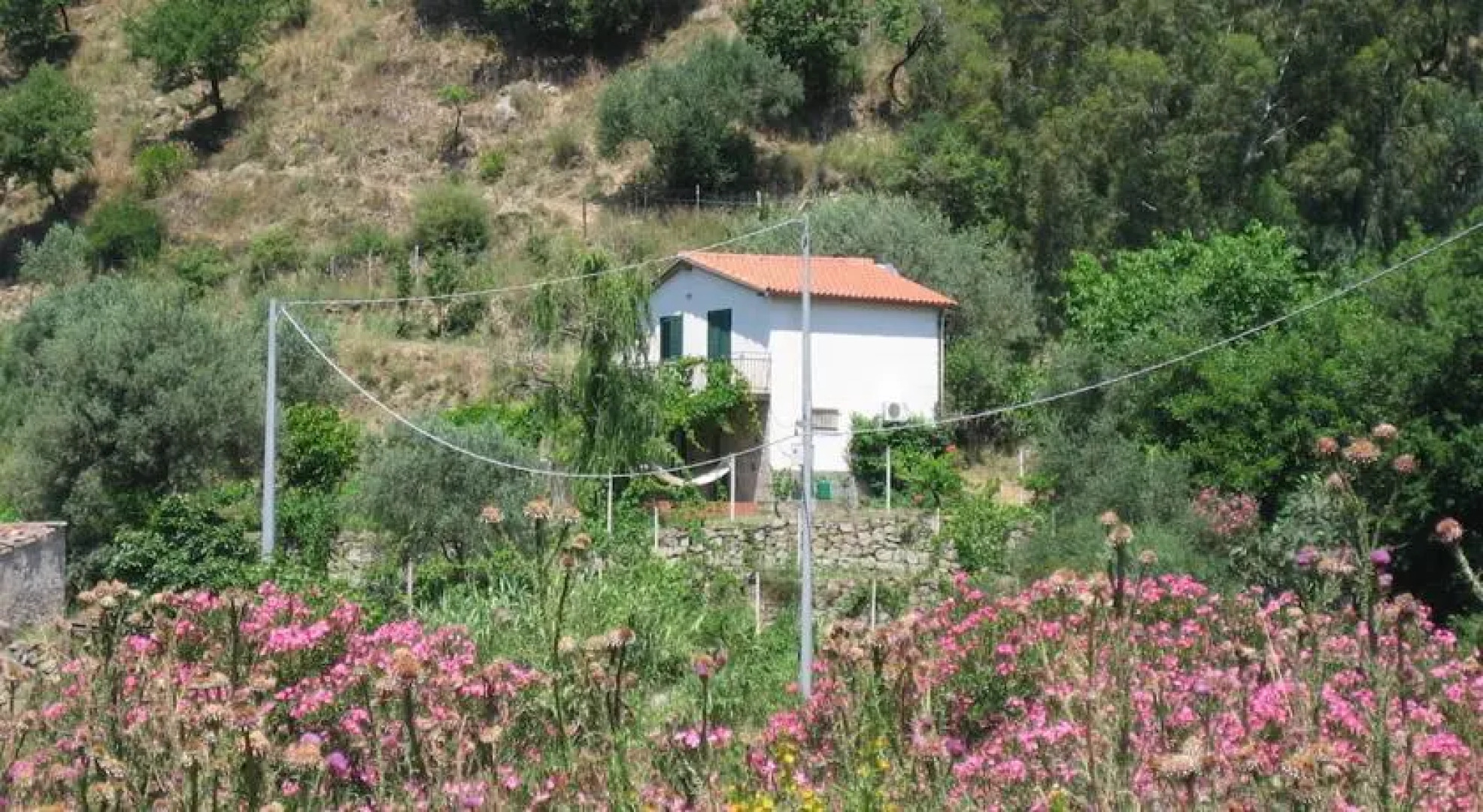 Casakiwi Contrada Meata