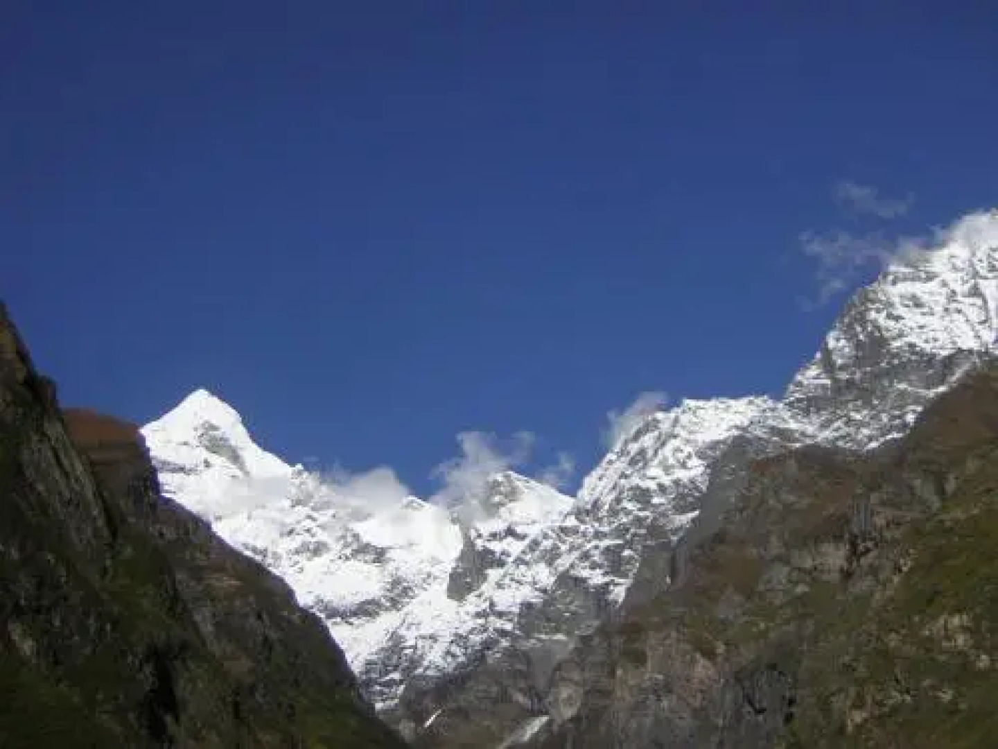 Badrinath Swiss Tents