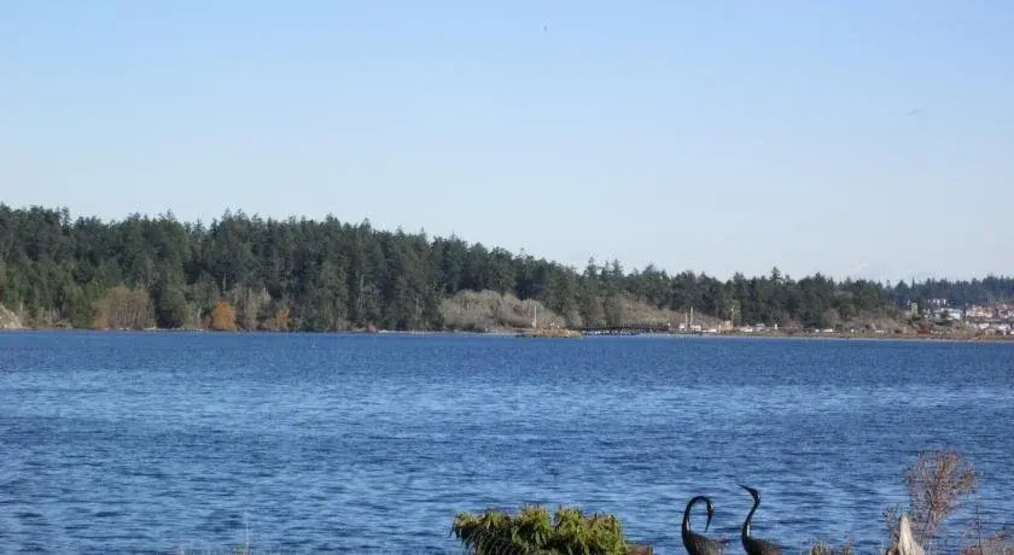 Royal Roads Oceanfront Vacation Rental