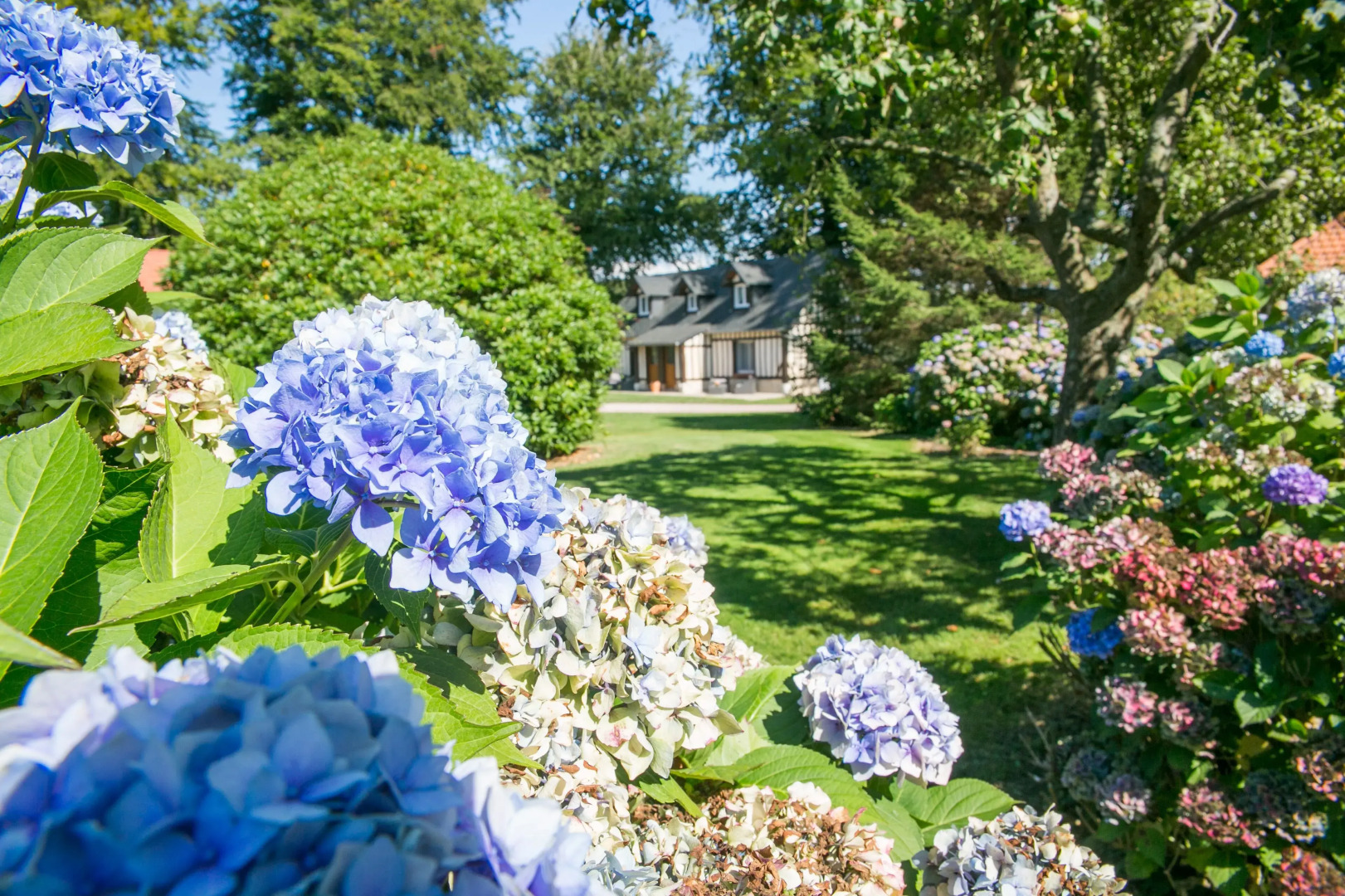 Clos Céleste - Campagne d'Etretat