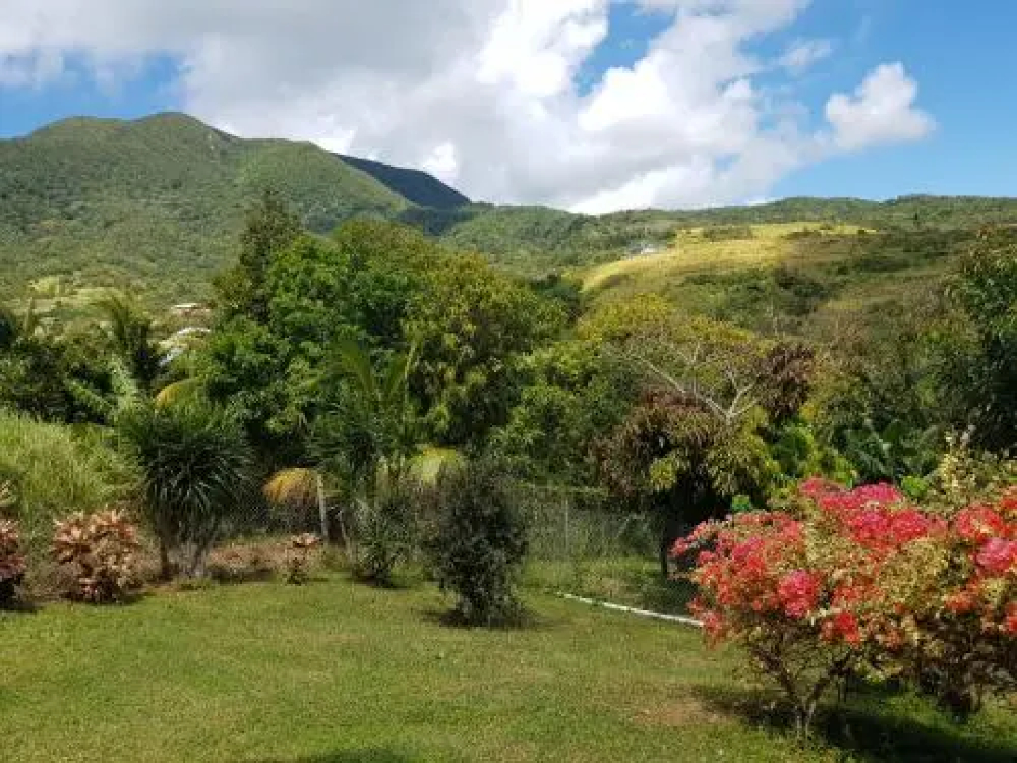 Valley View Property