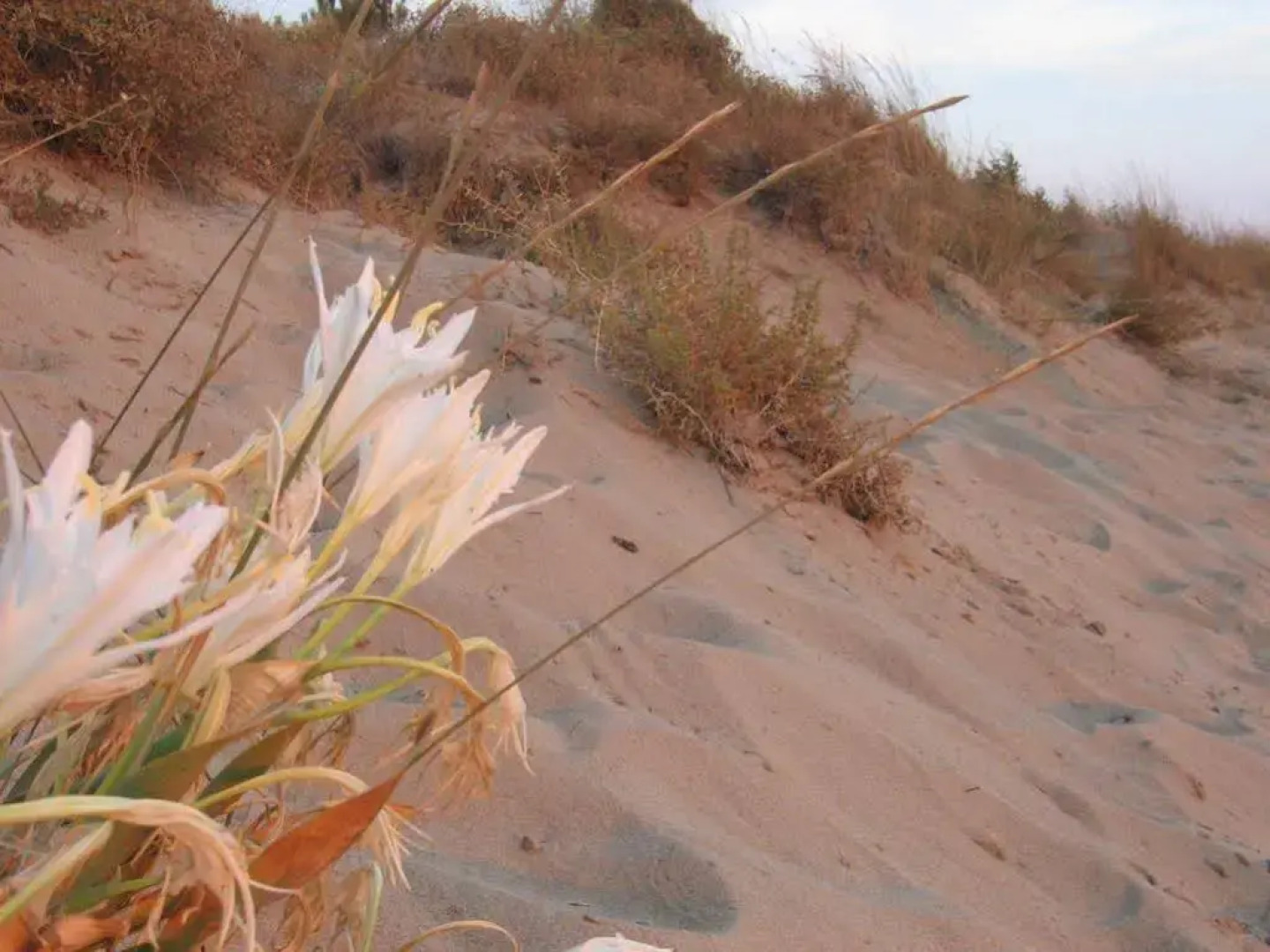 Residence delle Nazioni