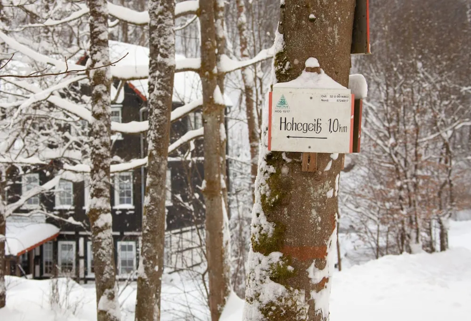 Waldhaus Wolfsbachmühle