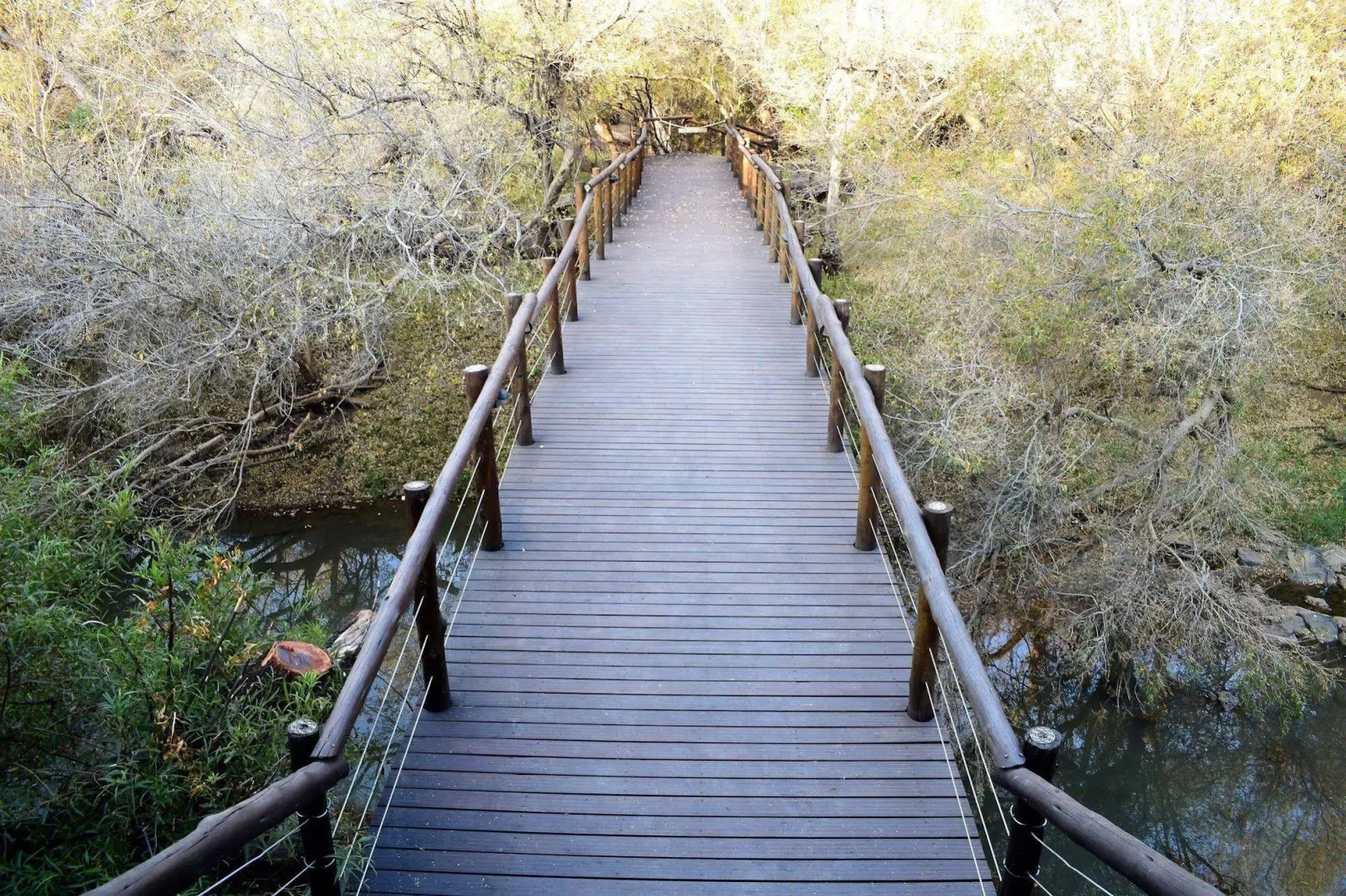 Madikwe River Lodge