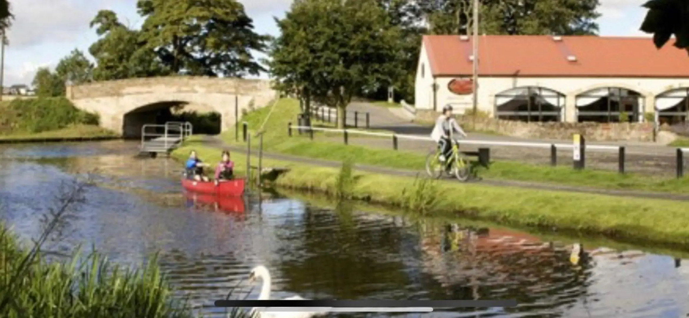 The Little Beech Tree