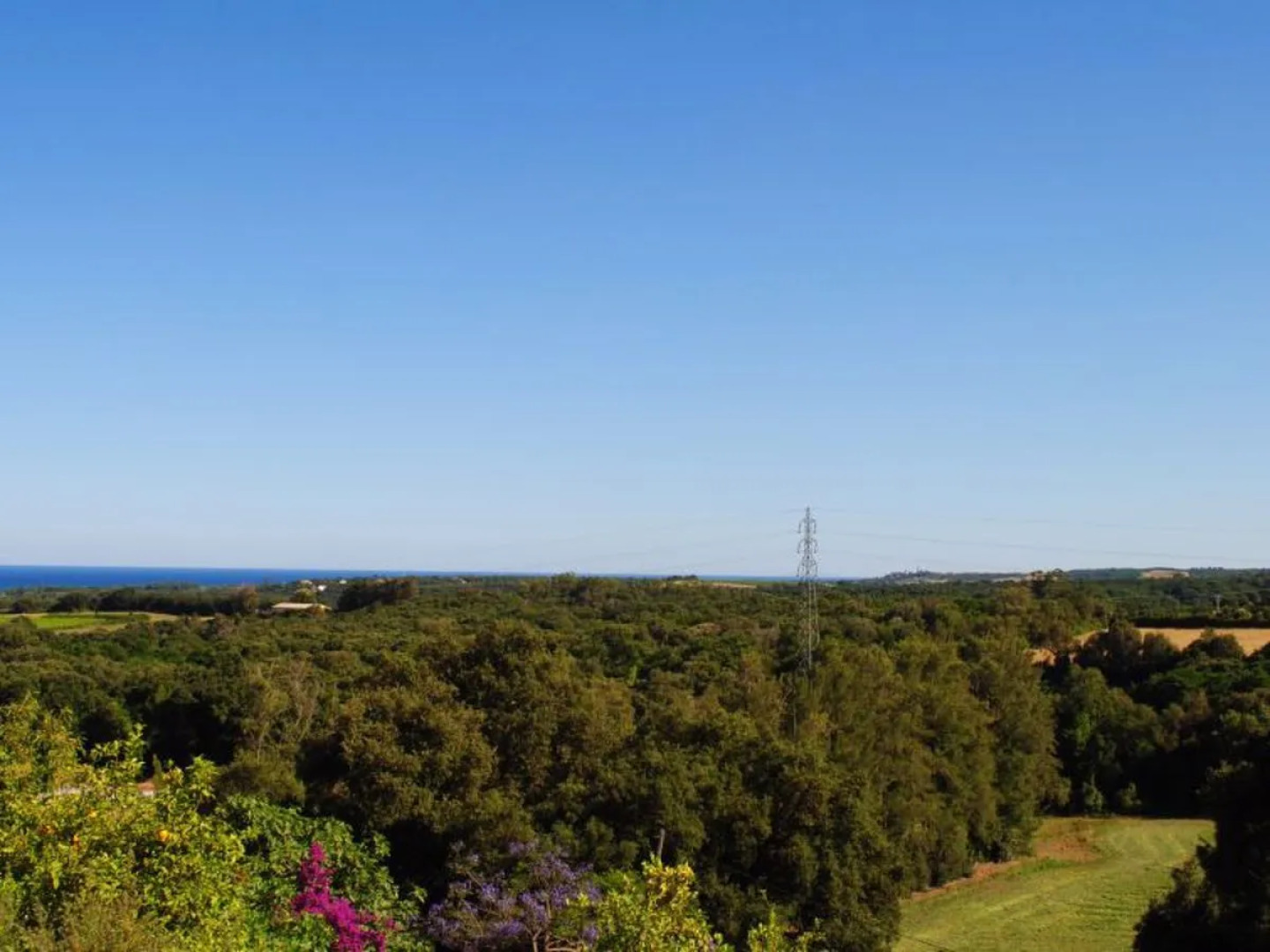 Rutili - Josee (CTN255)