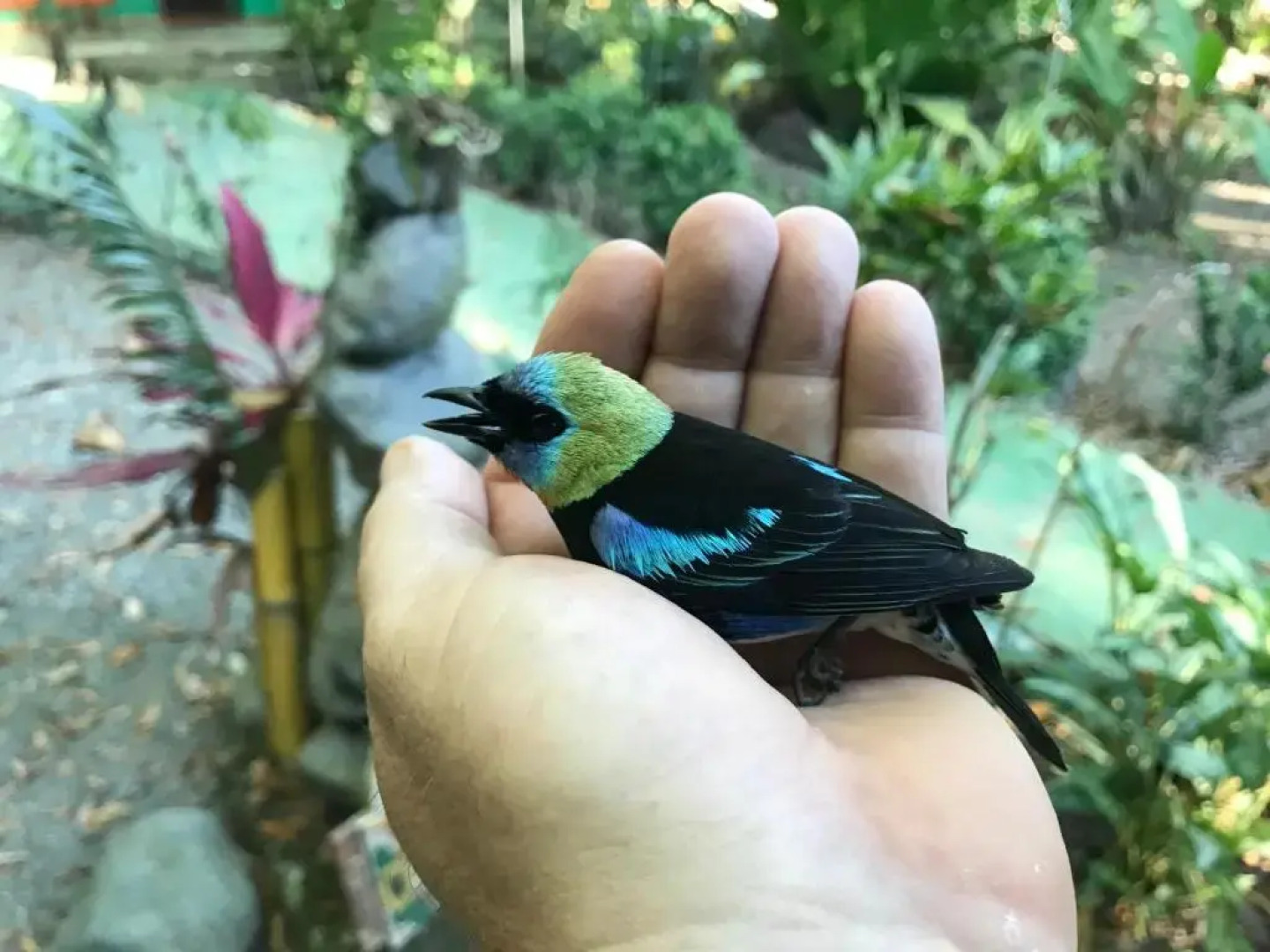 Palapa Hut Hostel & Camping