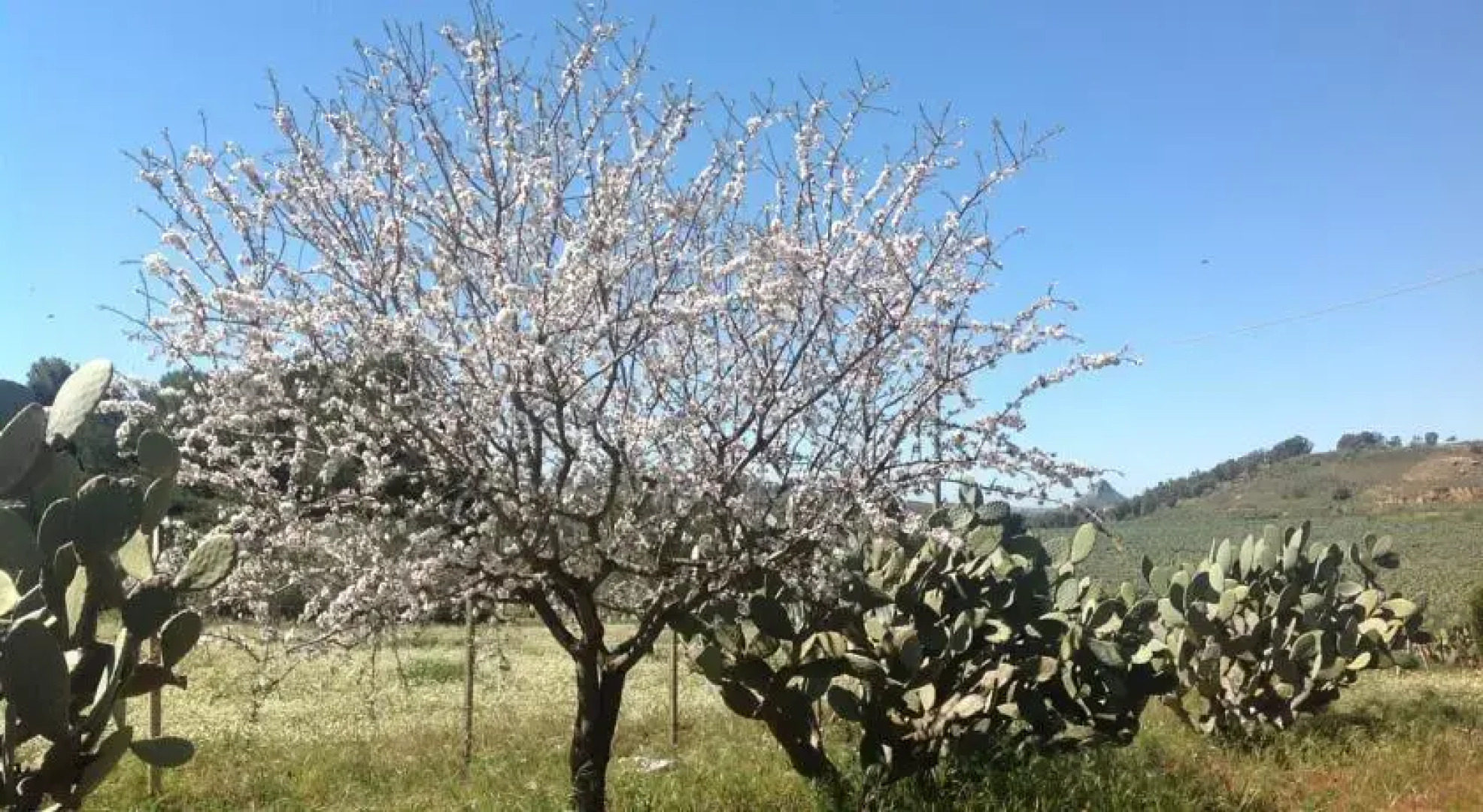 Romantica Casetta con Vista
