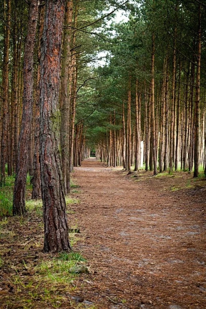 Gwiazda Morza Resort SPA&SPORT