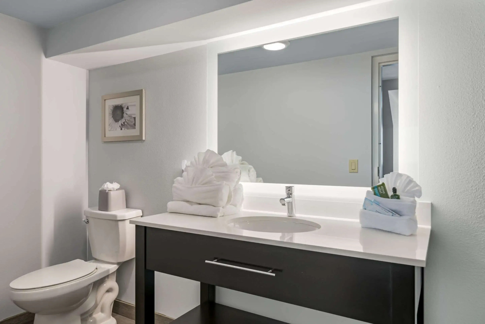 Heidel House Hotel and Conference Center, an Ascend Collection Hotel