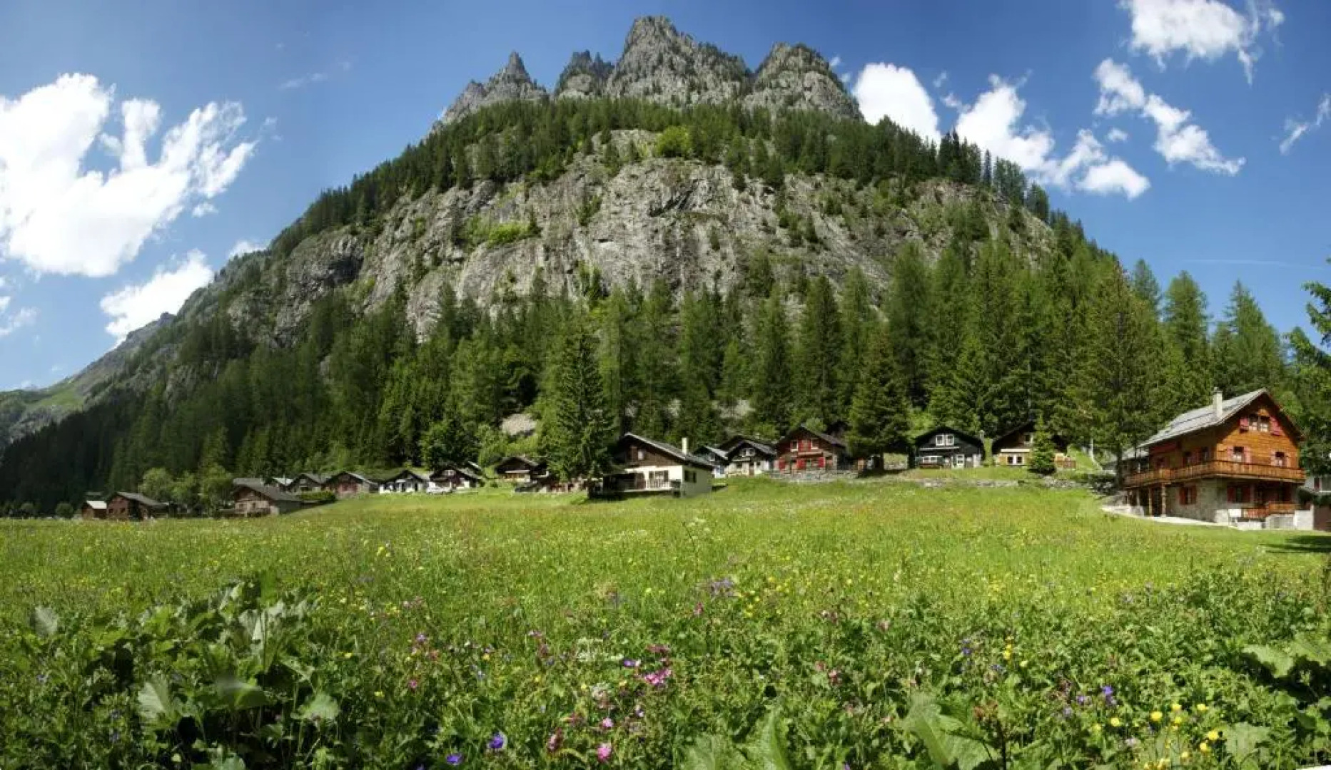 Chalet les Mésanges - Salvan