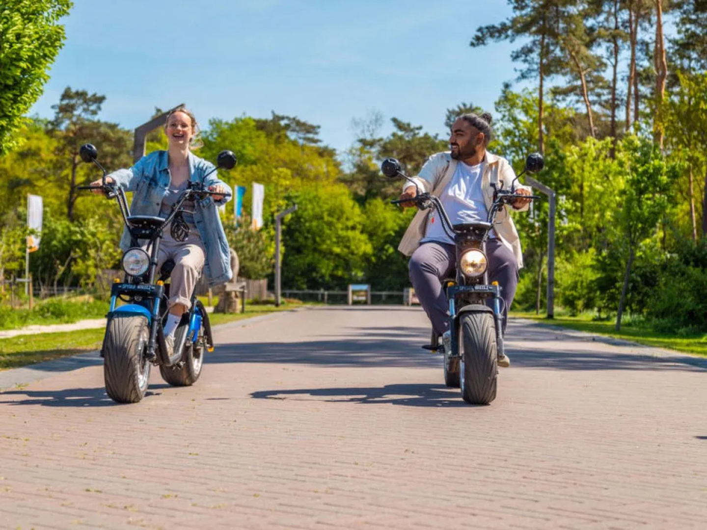 EuroParcs Resort De Wije Werelt 23355