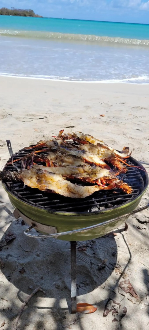 Villa Independante Magnifique Vue Mer Des Caraibes
