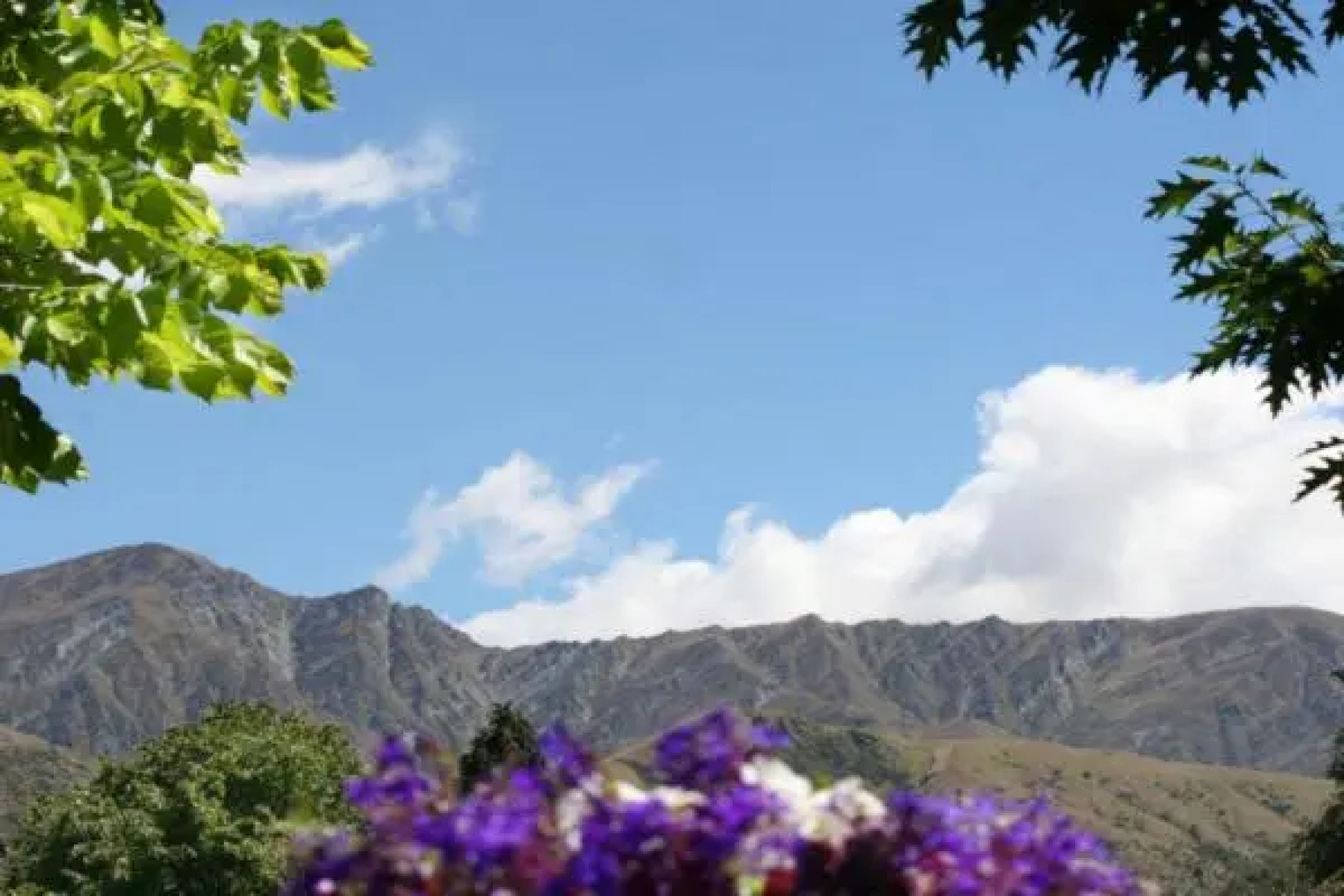 Tranquil Tipperary - Arrowtown Holiday Home