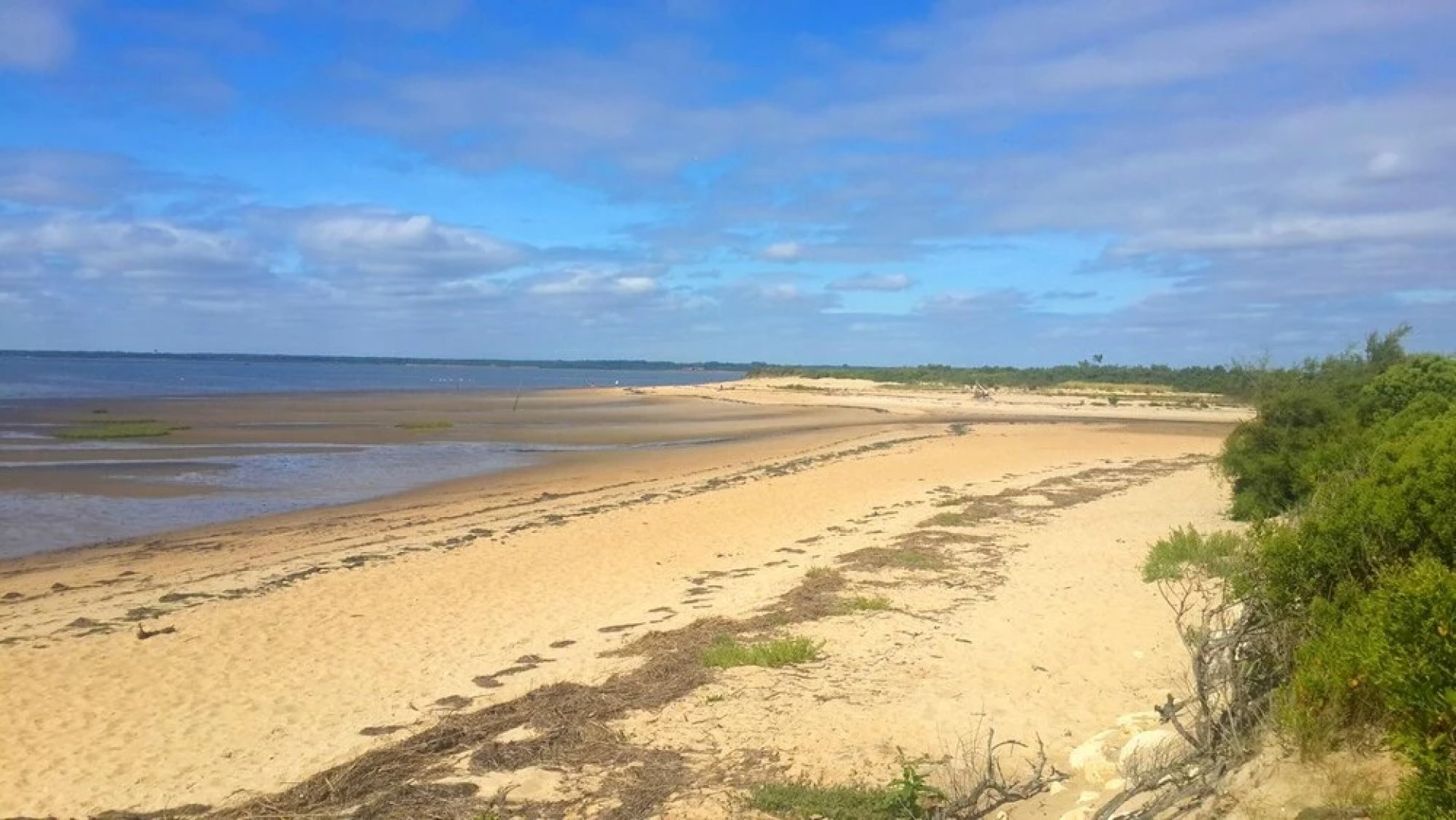 House With one Bedroom in Audenge, With Enclosed Garden and Wifi - 3 km From the Beach