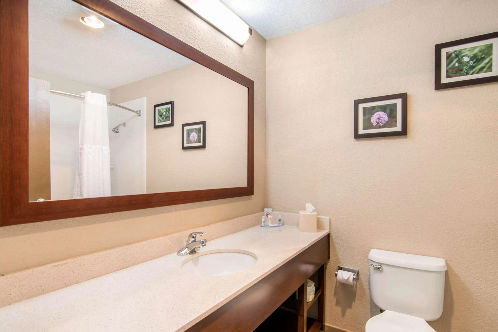 Comfort Inn & Suites Junction City - near Fort Riley