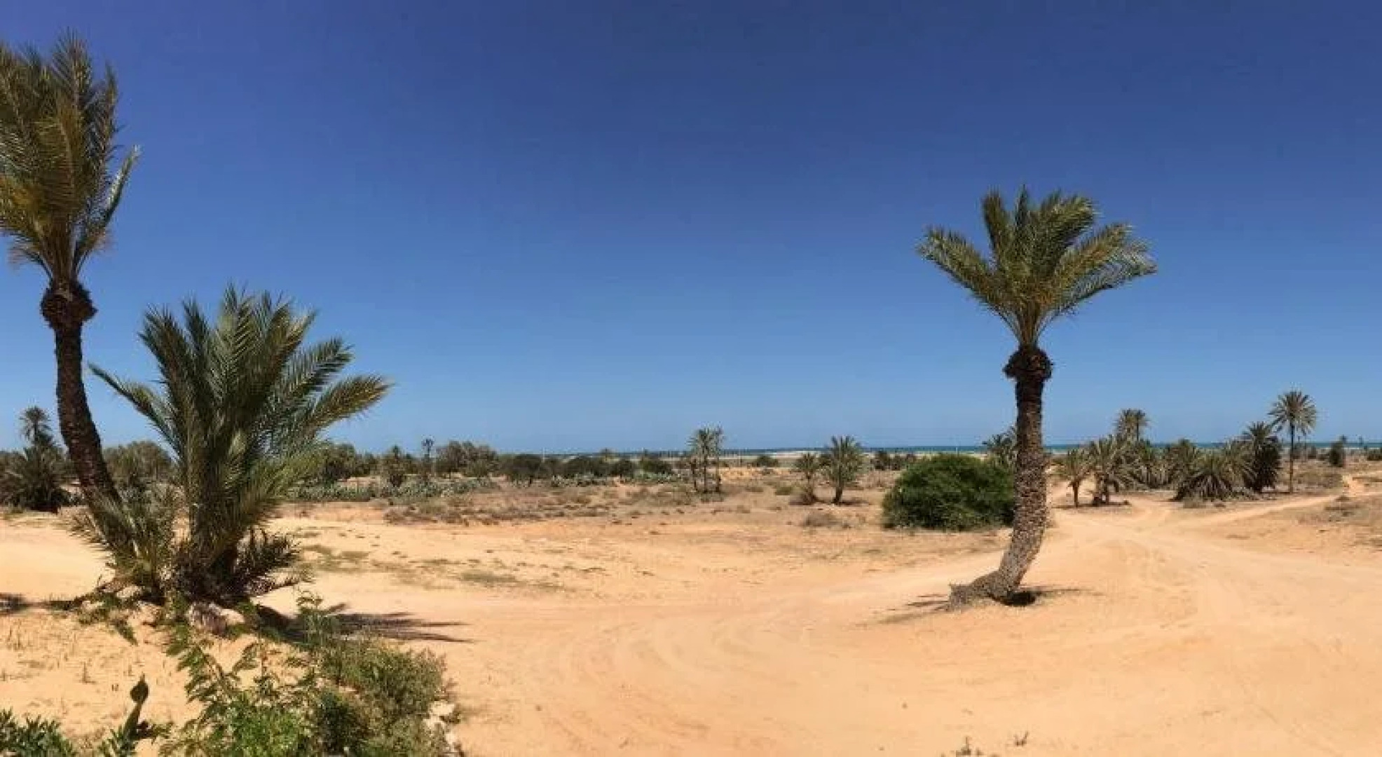 Dar Jasmin Djerba