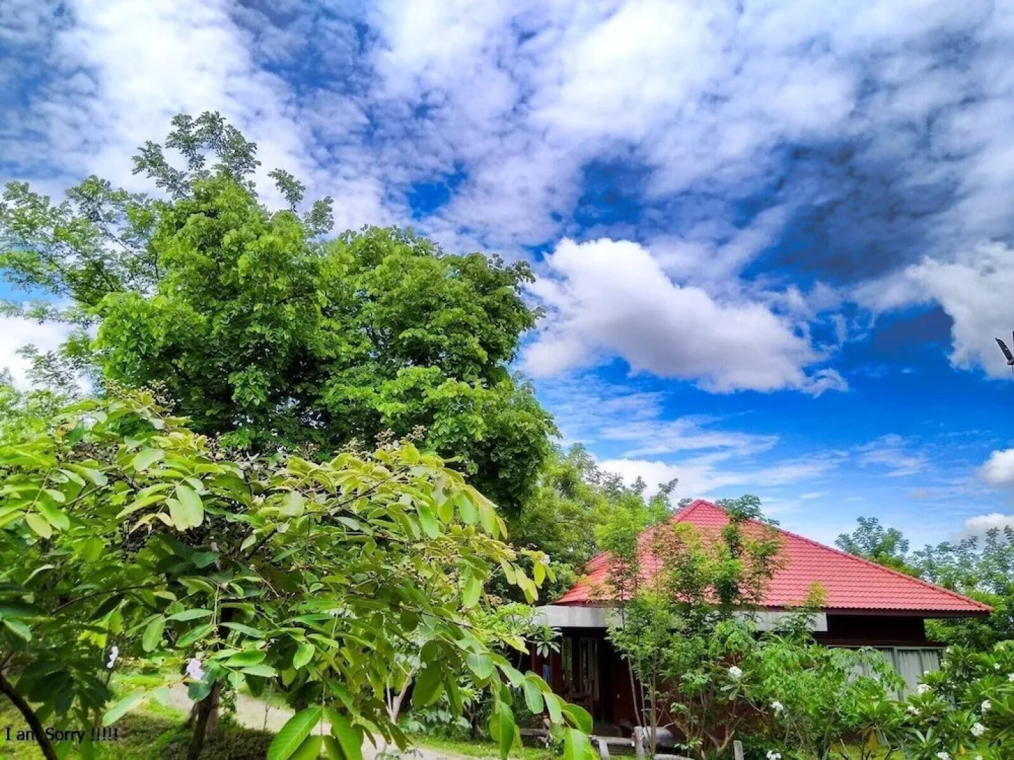 Memoria Palace and Resort