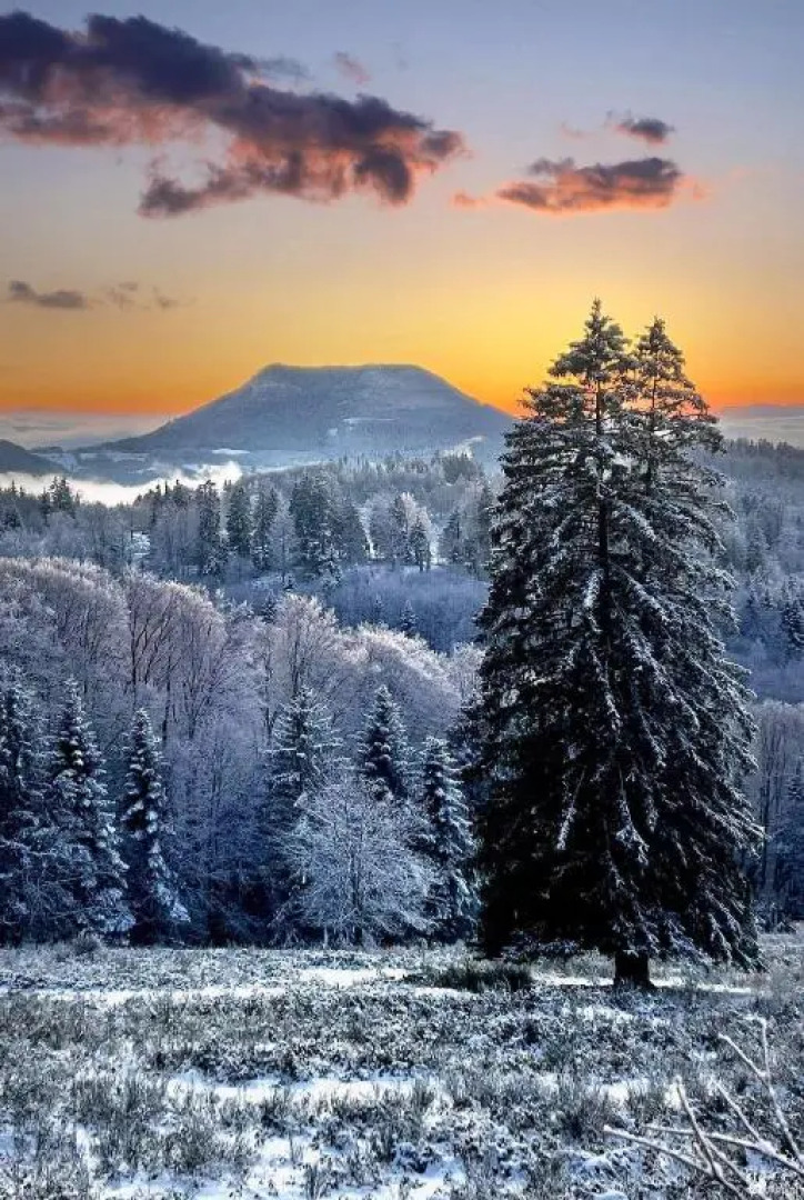 Gîte de montagne -Bellefosse Alsace