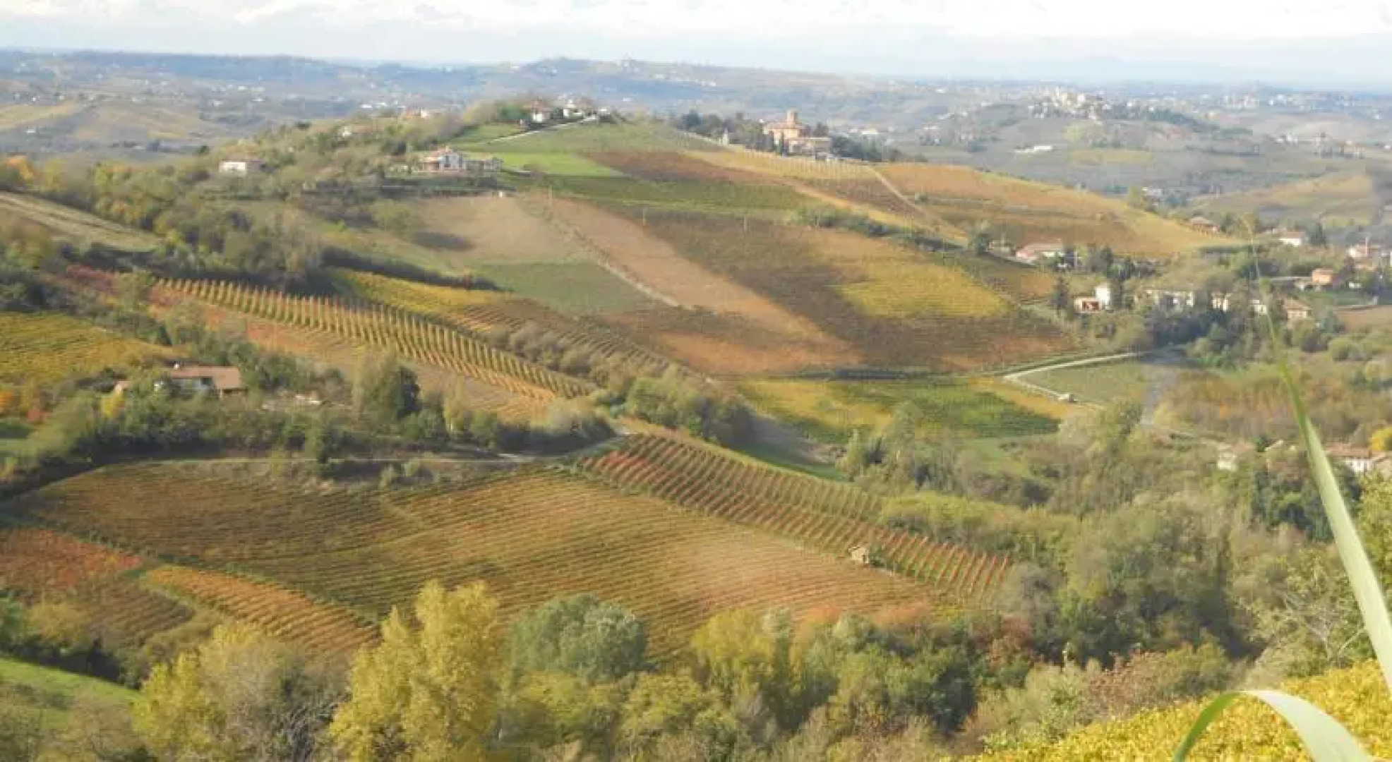Cascina Crocetta