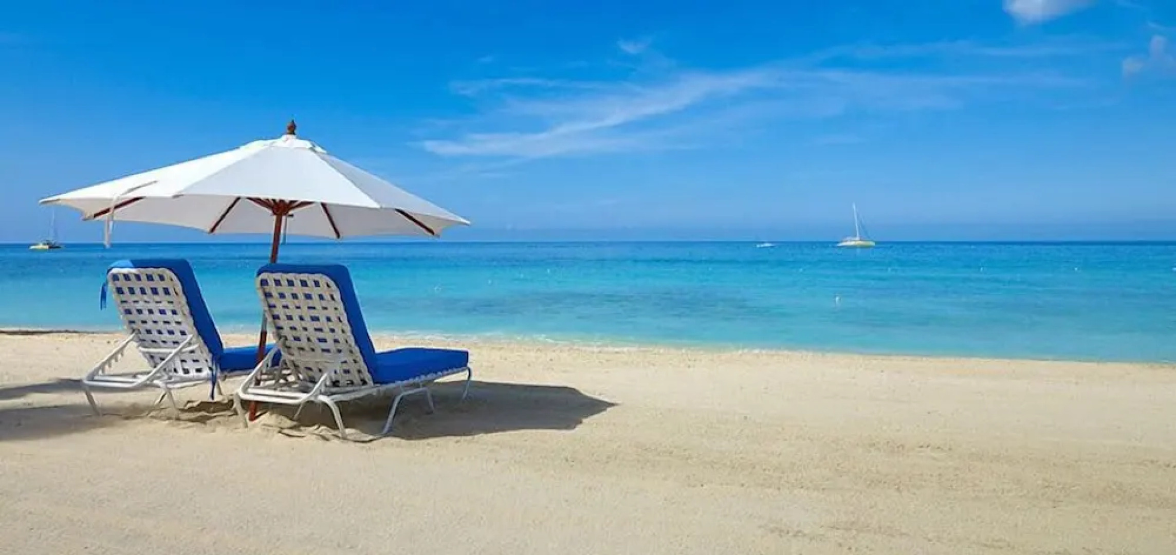 Old Trees 3 - Condo Halcyon