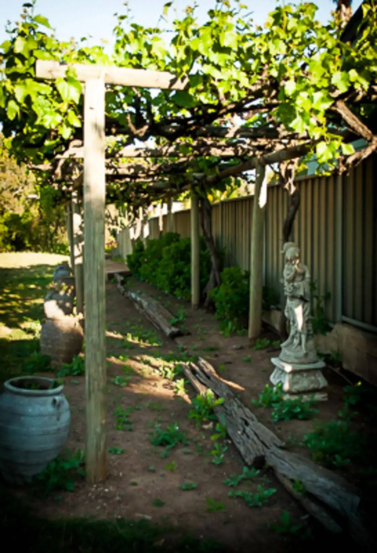 Angaston Vineyards Motel