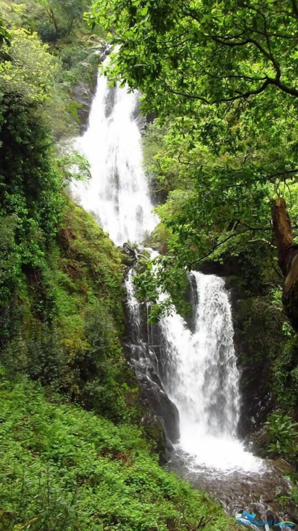 Residencial Martinho