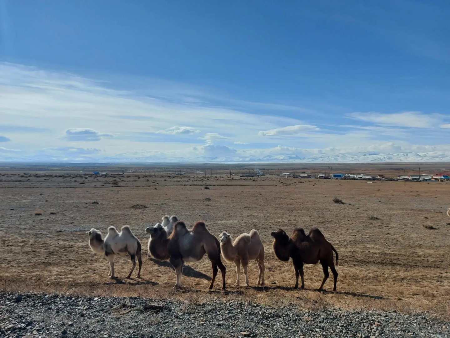 Алтайдом Белогорье