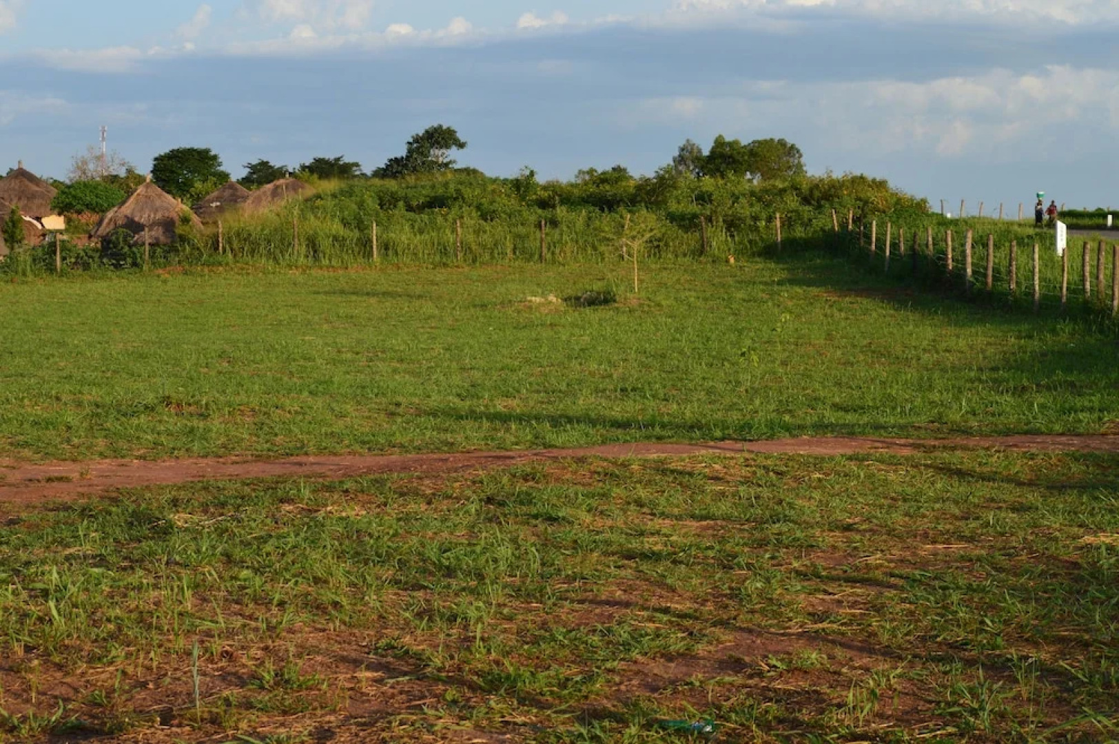 Grassroots Cottages & Tours