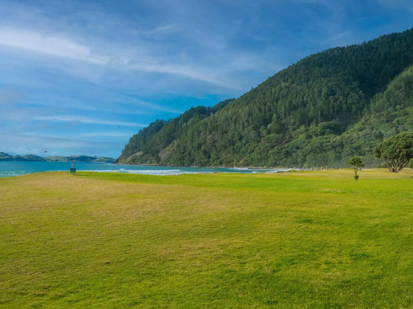Bonanza Beauty - Pauanui Holiday Home