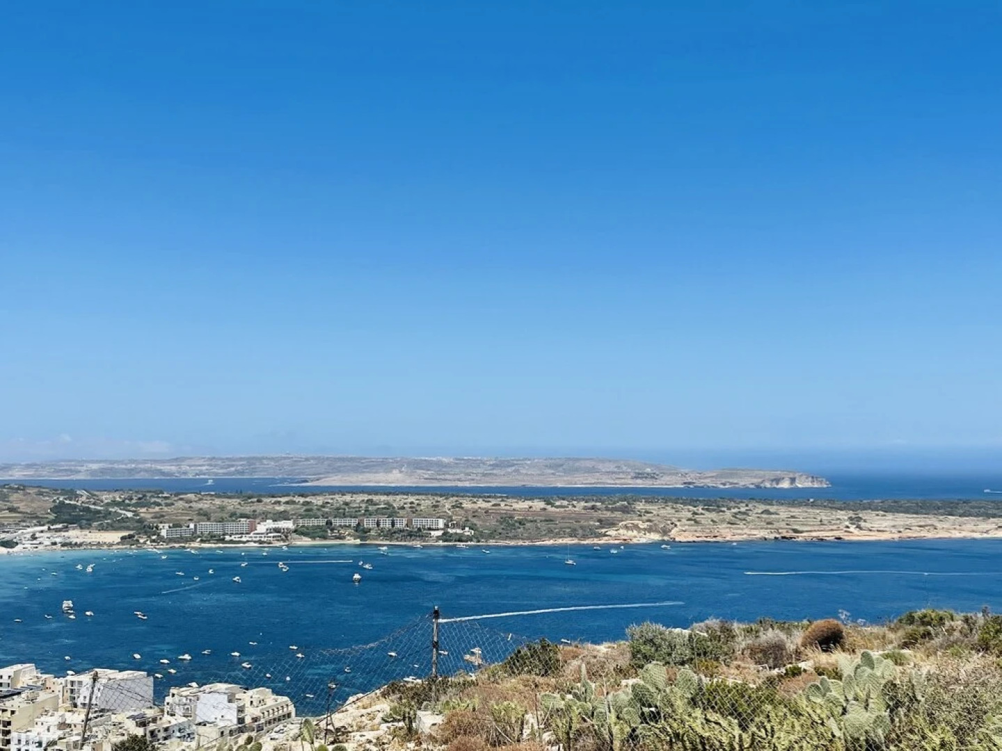 Victoria by Petit Chic