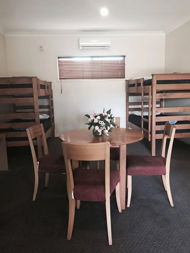 Bearded Dragon Tamborine Country Lodge