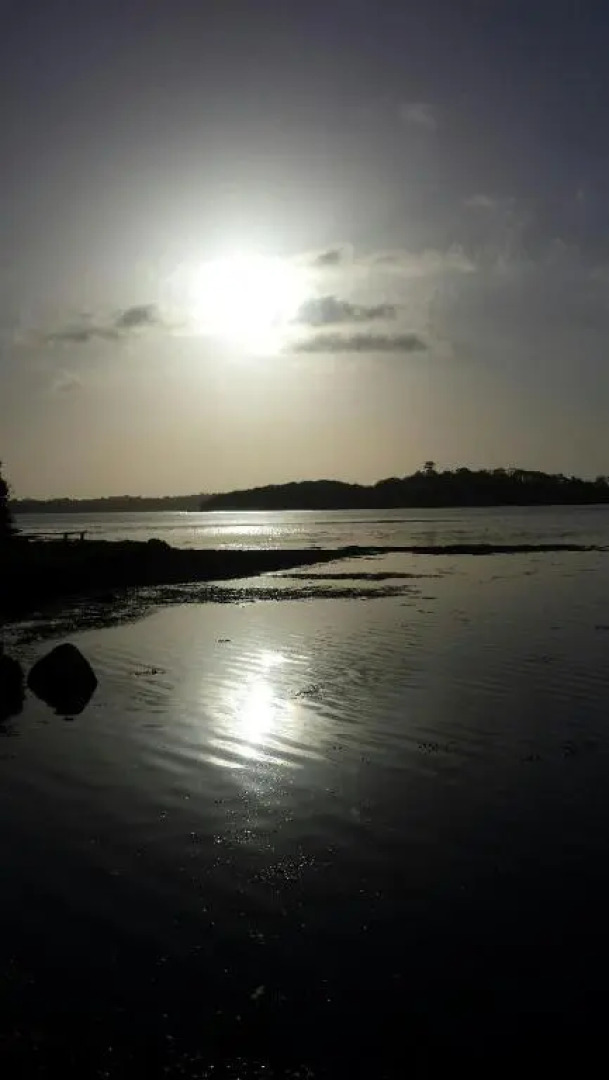 The Castle Apartment