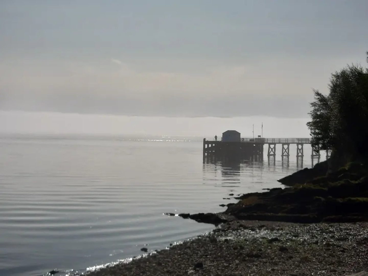 Off Grid 1-bed Cabin, Pets Ok, 20 Mins to Dunoon