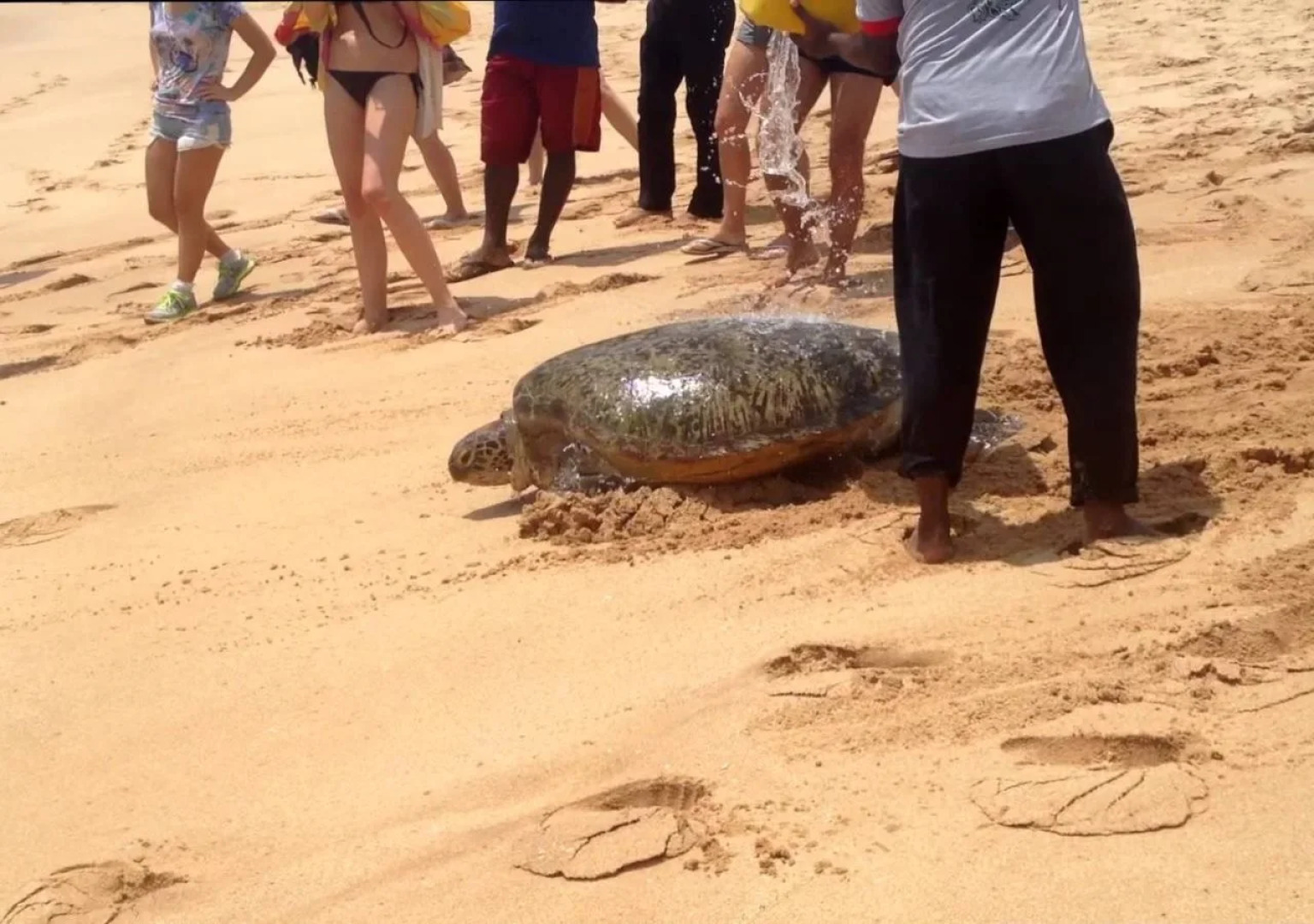 Around Sri Lanka Guesthouse Tangalle
