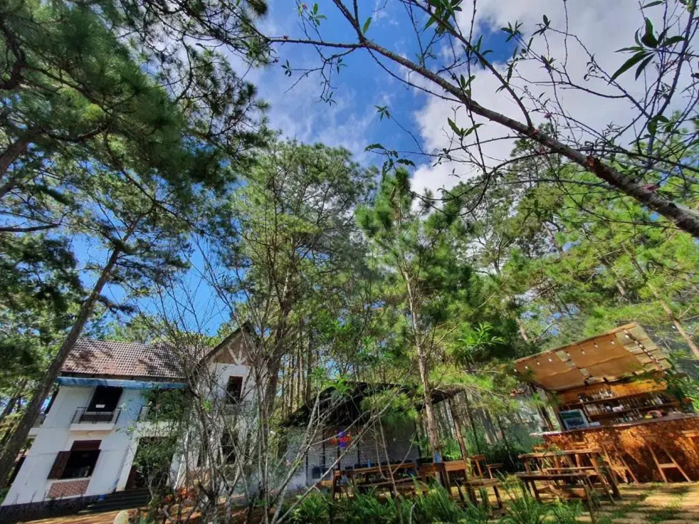 Chino Homestay Mang Den